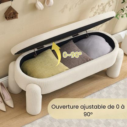 Banc Coffre de Rangement Ottoman Beige | Design Moderne et Élégant