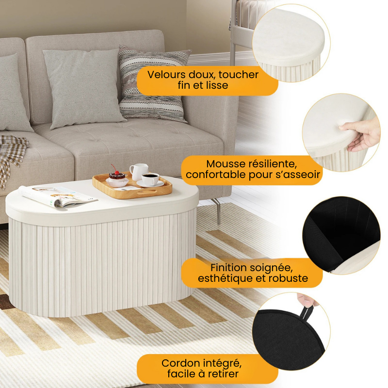 Banc Coffre Velours avec Rangement Pliable | Moderne et Décoratif
