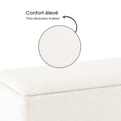 Banc coffre déco en velours Maison Banc, avec espace de rangement élégant pour objets, design moderne et stylé.